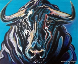 rinus_van_den_boogaart01