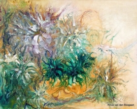 rinus_van_den_boogaart05