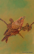 rinus_van_den_boogaart06