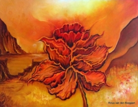 rinus_van_den_boogaart09