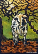 rinus_van_den_boogaart15