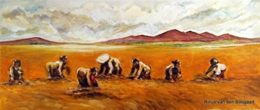 rinus_van_den_boogaart20
