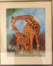 els_ripzaad_giraffen